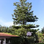 A Quinta Duna 度假居 *