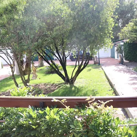 A Quinta Duna 度假居 Salir de Porto