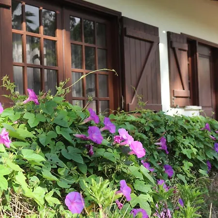 A Quinta Duna Hébergement de vacances Salir de Porto