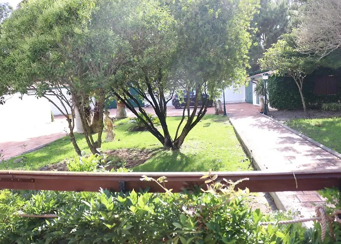 A Quinta Duna 度假居 Salir de Porto