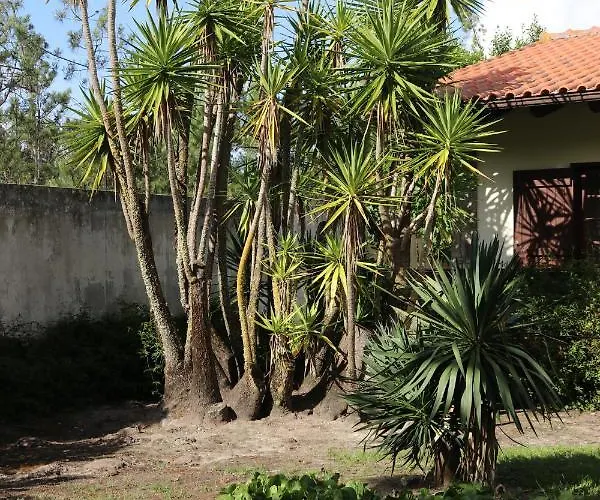 A Quinta Duna Hébergement de vacances *